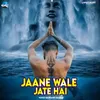 About Jane Wale Jate Hai Song